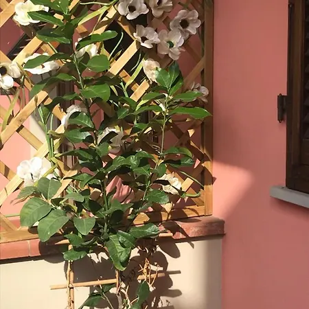 Quarto em Acomodações Particulares Casa Dolce Casa *